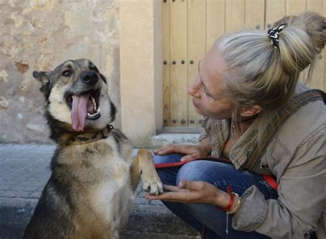 zoofilia perro grande|Abotonada por la enorme polla de su perro